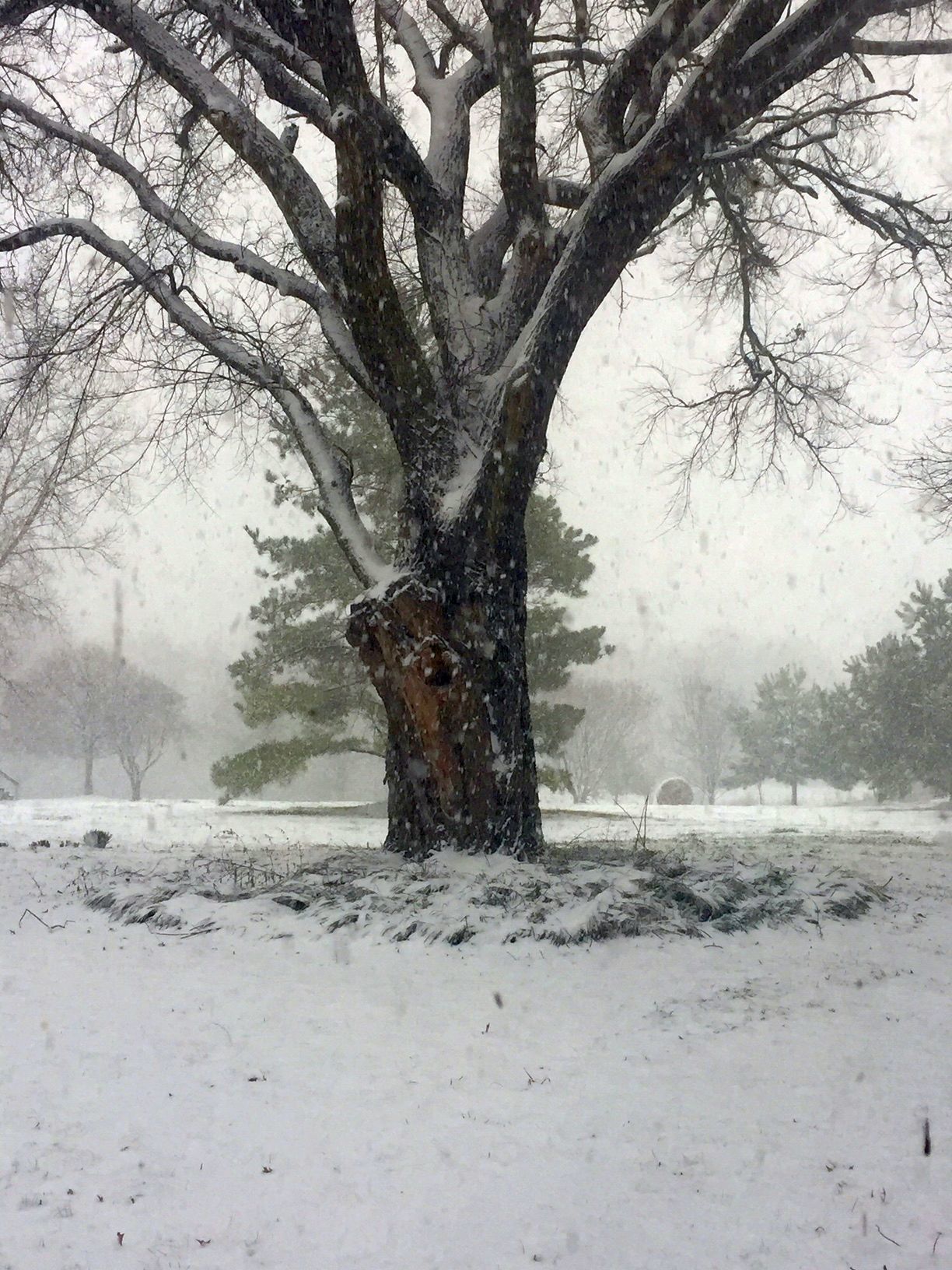 Wagoner County Snow Day